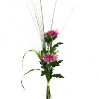 Purple Anastasia - Solitär blommor - Skicka blommor i %city%